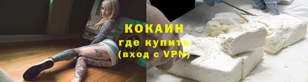 спайс Алзамай